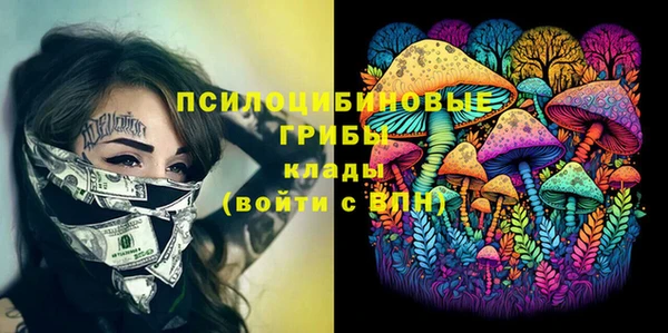 бошки Абдулино