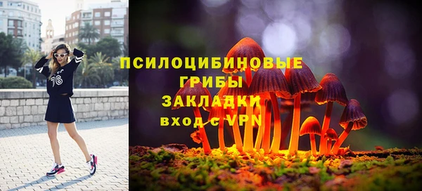 мяу мяу мука Алексеевка