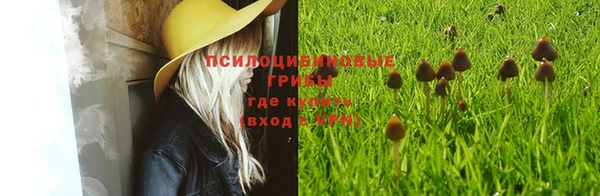 бошки Абдулино