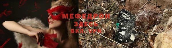 мяу мяу мука Алексеевка