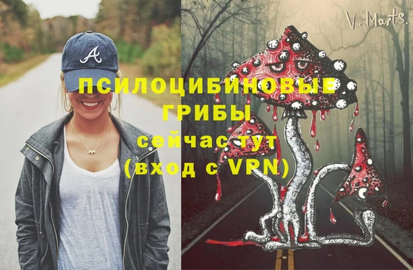 СК Алзамай