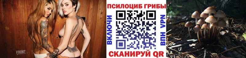 Галлюциногенные грибы прущие грибы  Цоци-Юрт 
