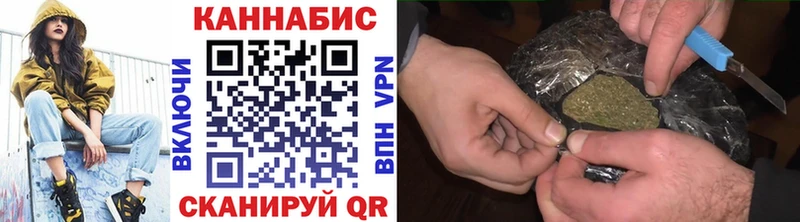 Канабис план  Цоци-Юрт 